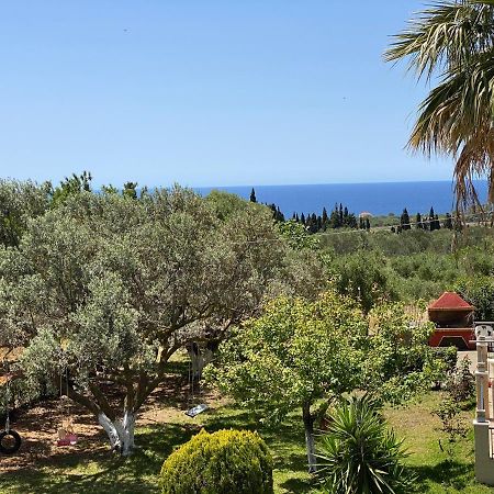 ארגוסטולי Lemon Tree Apartments A D מראה חיצוני תמונה